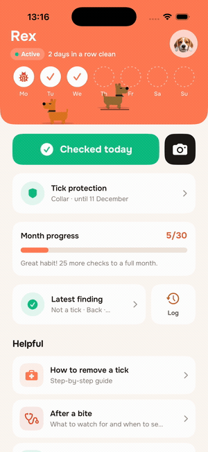 NoBugPet home screen — running dogs streak, live