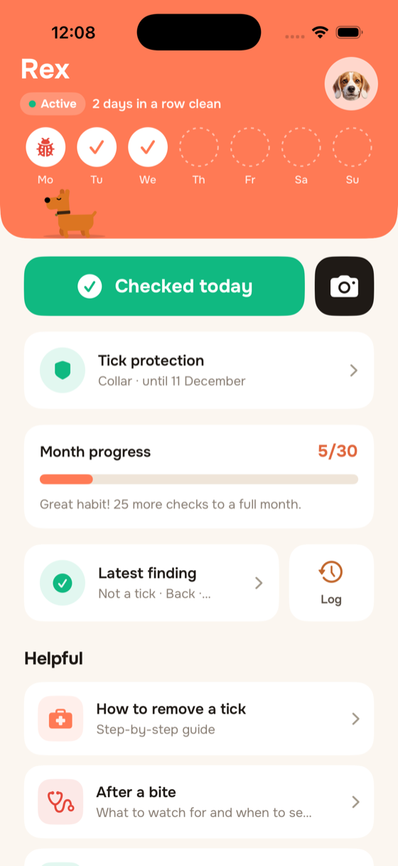 Scan in real time